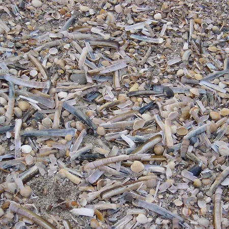 Appartement Haus Nordseeresidenz 91 Westerland